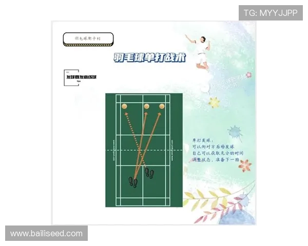 南京羽毛球队与杭州羽毛球队赛后战术分析与总结探讨