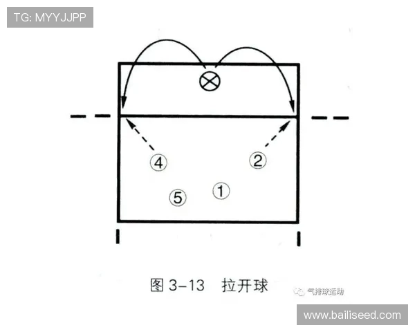 武汉排球队反击战术深度分析与实战应用探讨
