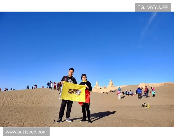滑板与梦想交织的旅程：赵芳的深度对话与人生探索