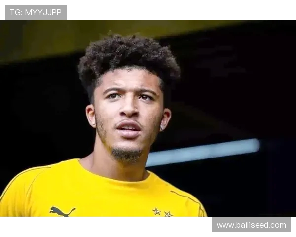 桑乔的足球旅程：从天才少年到世界舞台的璀璨明星