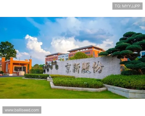 南京乒乓球队荣登全国技术排行榜首位引领乒乓新潮流