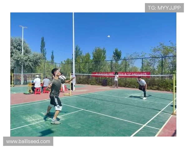 李丽独家揭秘羽毛球技巧与训练心得分享助你提升球技